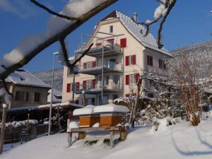 WinterSora