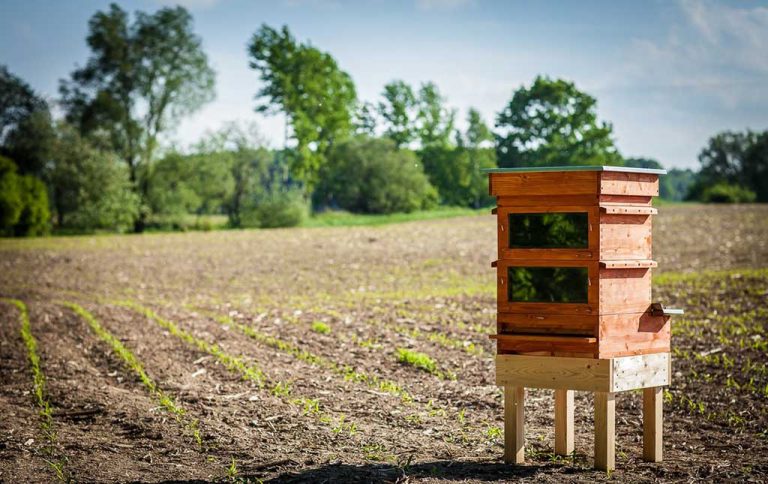 Thermosolar Beute – Varroa Behandlung ohne Chemie